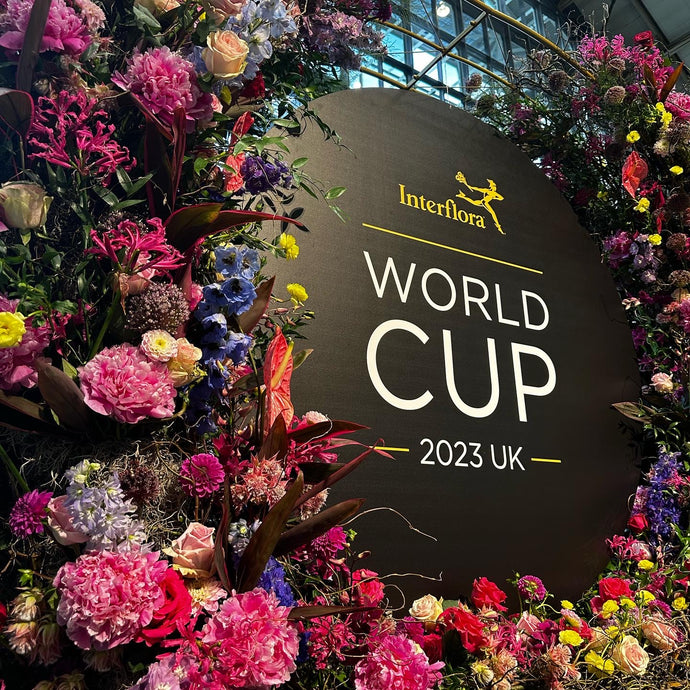 Day 1 at Interflora, Manchester 2023